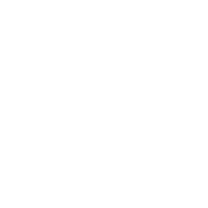 DZP (1)