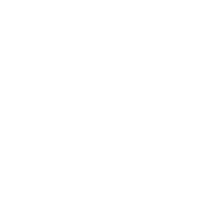 O-Mercado-de-Trabalho---O-Novo-Mercado (1)